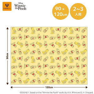 W[V[g (M) ܂̃v[ t@j[tFCX NZ 81771 / { 2`3lp 2lp 3lp 90×120cm AEghA sNjbN }bg  ^ Ԍ C  R ނ ٓ j̎q 