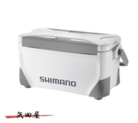 シマノ スペーザ ライト 250 NS-425Y グレー (8202) クーラーボックス 釣り キャンプ 運動会 お花見