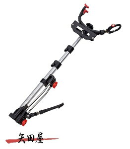 ꐸH obJOY A[pOi@A[ (120447)