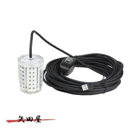 PROX プロックス　USB集魚LEDライト2カラー PX349 (6276)