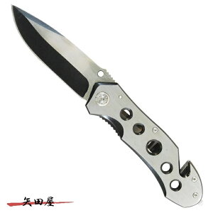 xg n^[܍iCt Vo[ MP-197 (061976)