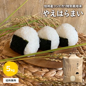 R5　長野県東御市産 「八重原米 」コシヒカリ5kg 特別栽培米 やえはらまい 産地直送 白米 玄米 粘り 甘め もちもち 一等米 きれいな水で作った米 作り贈物 ギフト おかずに合う米 おにぎり 信州長野米 精米仕立て 安心安全 おすすめ 人気 和食