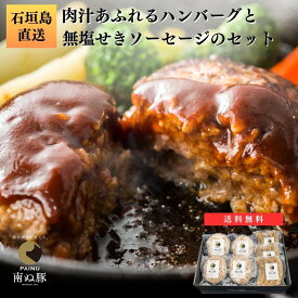 【お中元】石垣島産 アグー豚 南ぬ豚 定番セット | お取り寄せグルメ ハンバーグ 豚肉 高級 ソーセージ 無添加 あぐー豚 網脂 肉汁 国産 沖縄 希少 極上 贈答 お客様 内祝 出産祝い お返し 法人 ギフト 父の日 母の日 送料無料 内祝い おいしい 石垣 贈り物 お肉 石垣島