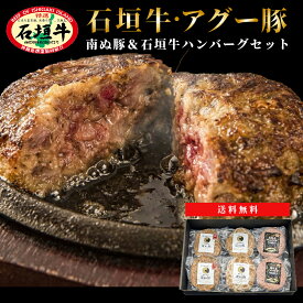 【お中元】【楽天で6冠獲得】沖縄 石垣島産 アグー豚 南ぬ豚 石垣牛 網脂 ハンバーグ 6個セット 食べ比べ (140g×4個 120g×2個) あぐー豚 お取り寄せ グルメ 国産 ギフト プレゼント 贈答 お土産 お祝い お返し ジューシー お中元 お歳暮 法人 冷凍 送料無料