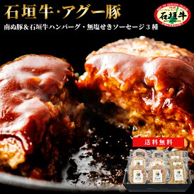【お中元】南ぬ豚 ＆ 石垣牛 贅沢詰め合わせ セット ハンバーグ 3種×2個 無添加 ソーセージ 3種×1パック | 石垣島産 アグー豚 牛肉 お取り寄せグルメ 国産 沖縄 法人 ギフト プレゼント 贈答 冷凍 送料無料 内祝い 肉 おいしい 贈り物 石垣 お肉 石垣島 豚肉