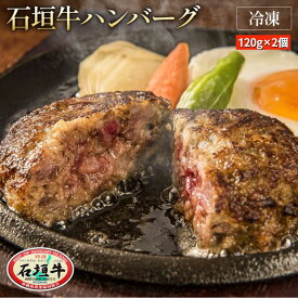 【お中元】石垣牛 100％ ハンバーグ 2個セット | 冷凍 120g×2個 黒毛和牛 牛肉 ギフト 焼肉 贈答 国産 沖縄 石垣島 希少 職人 産地直送 お返し 法人 贈り物 和牛 お歳暮 お中元 送料無料 やえやまファーム