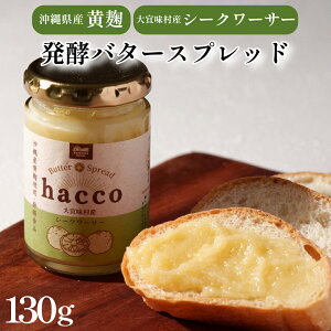y F zhacco yo^[ Xvbh V[N[T[ 130g×1 | ꌧ XY o^[ W p   v[g Mtg 蕨  ₦܃t@[