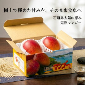 完熟 マンゴー 【贈答品】7月上旬〜発送 完熟マンゴー 約1kg (2～3玉) 送料無料 アップルマンゴー 沖縄 沖縄県産 石垣島 石垣島産 産地直送 産地 直送 南国 国産 農家 農園 お取り寄せ お取寄せ おとりよせ 贈答 高級 ギフト お中元 中元 御中元 父の日