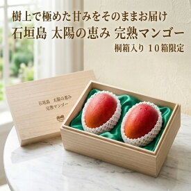 完熟 マンゴー 【最高級贈答品】7月上旬〜発送 完熟マンゴー 約1kg (2～3玉) 桐箱入り 送料無料 アップルマンゴー 沖縄 沖縄県産 石垣島 石垣島産 産地直送 産地 直送 南国 国産 農家 農園 お取り寄せ お取寄せ おとりよせ 贈答 高級 ギフト お中元 中元 御中元