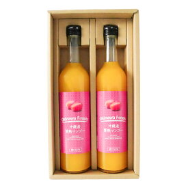 【お中元】【 沖縄産 】 マンゴー 果汁飲料 50% 500ml 2本セット | 高級 贈答 国産 贅沢 濃厚 完熟 果汁 極上 詰め合わせ 挨拶 誕生日 お客様 内祝 出産祝い お返し 法人ギフト 贈り物 母の日 父の日 送料無料 やえやまファーム