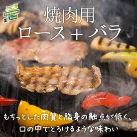 【お中元】石垣島産 アグー豚 南ぬ豚 焼肉用 ロース バラ 各200g | 高級 贈答 国産 沖縄 石垣島 オリジナル 希少 あぐー豚 贅沢 ジューシー とろける ヘルシー 極上 こだわりの 逸品 美味しさ 贈答 お客様 内祝 出産祝い お返し 法人ギフト 贈り物