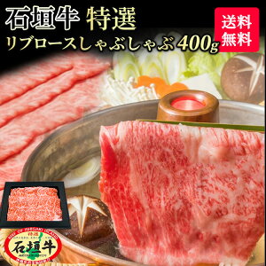 y  zΊ_ I u[X Ԃ 400g | uh јa Ԃ  Mtg A5 ō  Y  Ί_  El Yn Ԃ @lMtg 蕨
