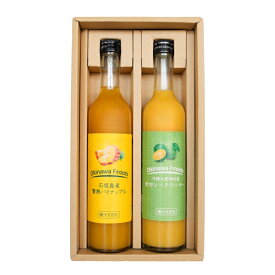 【お中元】【 沖縄産 】パインアップル & 青切 シークヮーサー ジュース 500ml 2本セット | ギフト セット 贈答 ストレート 果汁 国産 沖縄 パイン 産地直送 内祝 お返し 法人ギフト 贈り物 贈答 お歳暮 お中元 父の日 母の日 大宜味村産 送料無料 やえやまファーム