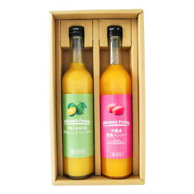 【お中元】【 沖縄産 】 マンゴー & 青切シークヮーサー ジュース 500ml 2本セット | ギフト セット 高級 贈答 国産 ストレート 果汁 100％ お土産 挨拶 内祝 出産祝い お返し 法人ギフト 贈り物 石垣島 大宜味村 送料無料 やえやまファーム
