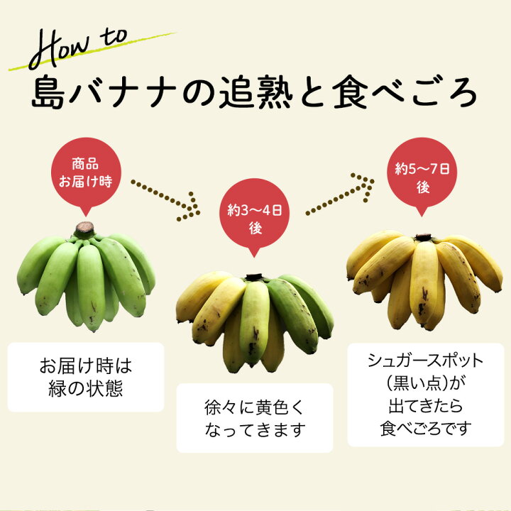 楽天市場】【 送料無料 】希少！国産 島バナナ（石垣島産） 農薬不使用 