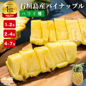 楽天ランキング1位 石垣島産 パイナップル ハワイ種 約1kg 約2.8kg 約5.6kg 国産 沖縄 島パイン パイン 安心 安全 子供 おやつ デザート フルーツ ギフト 贈答 お土産 送料無料 6冠達成 美味しい 甘い ブランド 希少 ビタミン