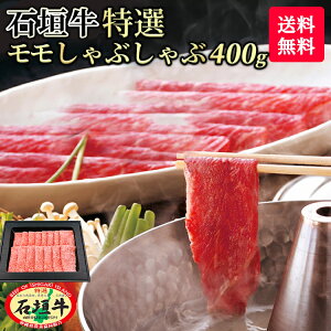 y  zΊ_ I  Ԃ 400g | Ⓚ uh јa  Mtg ē ō  Y  Ί_  El Yn Ԃ @l Mtg 蕨 a A5 