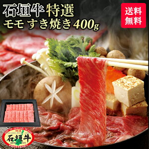 y  zΊ_ I  Ă 400g | Ⓚ uh јa  Mtg ē ō  Y  Ί_  El Yn Ԃ @l Mtg 蕨 a A5 Ε 