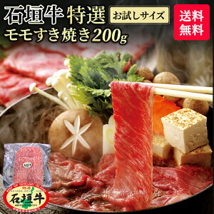 y TCY zy  zΊ_ I  Ă 200g | Ⓚ uh јa  Mtg ē ō  Y  Ί_  El Yn Ԃ @l Mtg 蕨 