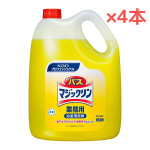 y4.5Lzy4{zy1P[Xzԉ oX}WbN lւp Ɩp p C| ^Cv AJE΂JXE玉XbL|yz