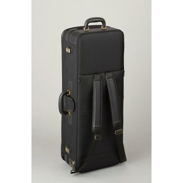楽天市場】YANAGISAWA/Tenor Saxophone T-WO2 選定品 / ヤナギザワ 