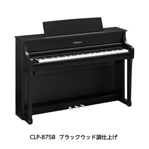 �y�V�����z�y�g���ݒu�����z�y�����o�ׁI�I�zYAMAHA Clavinova CLP-875 B/R/WB/�d�q�s�A�m ���}�n �N���r�m�[�o