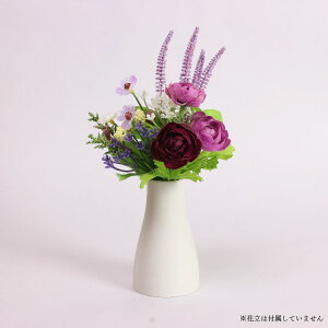    dp  ~ ފ ~ V~  @ @v  蕨 d  ͂Ȃ CeA t[AWg ԑ  ~j RpNg  w