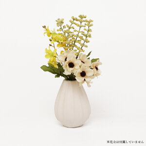    dp  ~ ފ ~ V~  @ @v  蕨 d  ͂Ȃ CeA t[AWg ԑ  ~j RpNg  w