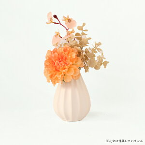    dp  ~ ފ ~ V~  @ @v  蕨 d  ͂Ȃ CeA t[AWg ԑ  ~j RpNg  w
