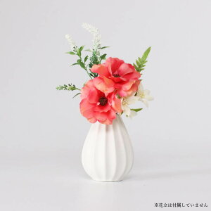    dp  ~ ފ ~ V~  @ @v  蕨 d  ͂Ȃ CeA t[AWg ԑ  ~j RpNg  w