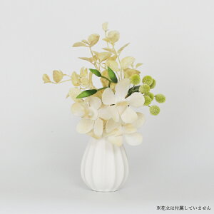    dp  ~ ފ ~ V~  @ @v  蕨 d  ͂Ȃ CeA t[AWg ԑ  ~j RpNg  w