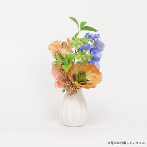    dp  ~ ފ ~ V~  @ @v  蕨 d  ͂Ȃ CeA t[AWg ԑ  ~j RpNg  w