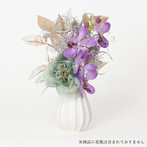    dp  ~ ފ ~ V~  @ @v  蕨 d ͂Ȃ CeA AWg ԑ  ~j RpNg   w