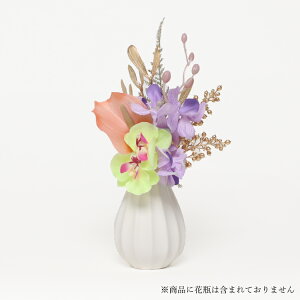    dp  ~ ފ ~ V~  @ @v  蕨 d  ͂Ȃ CeA t[AWg ԑ  ~j RpNg  w