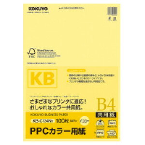 RN PPCJ[pipjiFSCF؁j@B4@100@64gā@@(KB-C134NY)