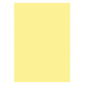 NB 色上質紙（厚口／90．7g平米）　A4　50枚　黄　(KPC-CA4-5)