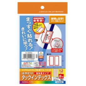 コクヨ IJP用インデックス紙ラベル　ハガキサイズ10枚入　12面カット　赤枠　(KJ-6055NR)