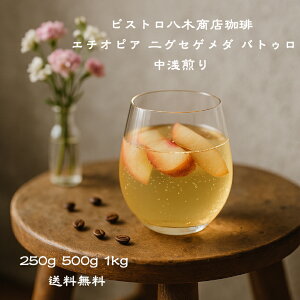 R[q[ 250g 500g 1kg 1L   XyVeBR[q[ G`IsA t[o[R[q[ ogD  s[`eB[ `R  A} R[q[  [