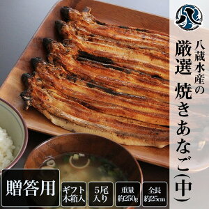 Mtg Y̌IĂȂ TCY 250g 5ZbgAiS q    VN 