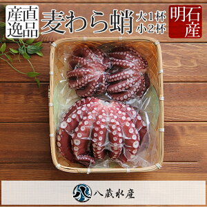 yΎYz炾 {C 1t 2t  ^R  ^ }_R Ă VN N i CN   Ή Mtg 蕨 p Y