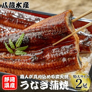 Y̌IȂĂ TCY 220g 2Zbg ÉYȂ EiM V  VN  É Y