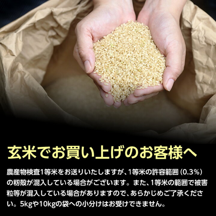 楽天市場】【送料無料】令和7年産山形県産はえぬき玄米30kg 【四国 