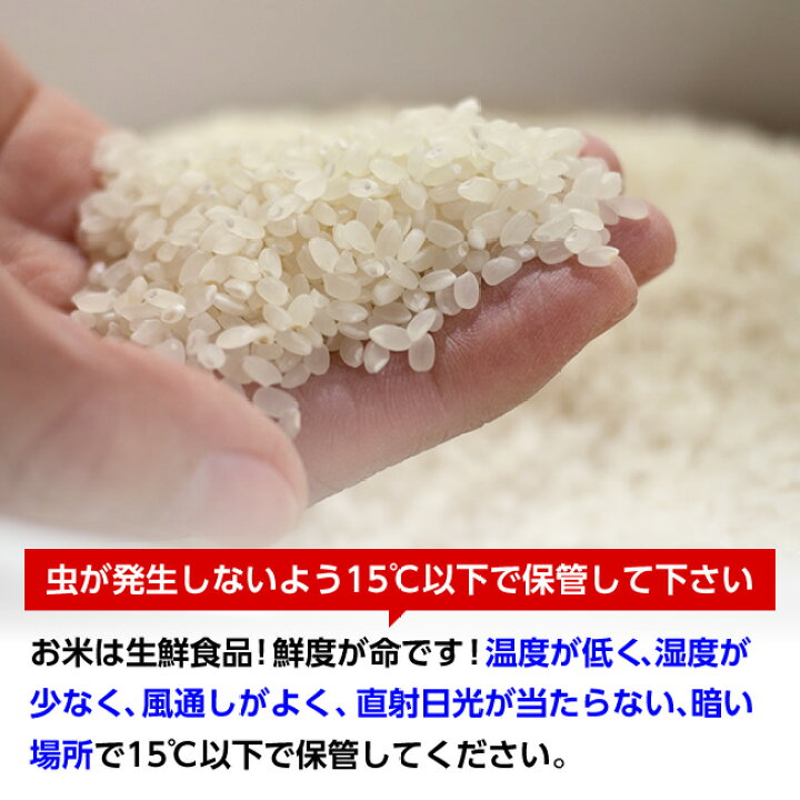 楽天市場】【送料無料】令和7年産山形県産はえぬき玄米30kg 【四国 
