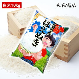 【送料無料】令和5年産 山形県産 はえぬき 白米10kg お試し【沖縄別途1000円加算】