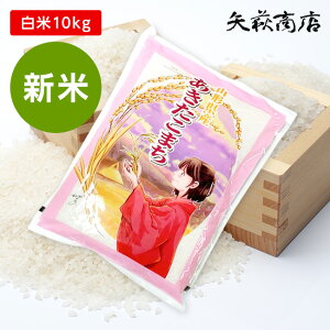 yVāzyzߘa7NY R`Y ܂ 10kgylEBւ̔z+400~/Eւ̔z+1,000~Zz