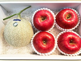 【メロン＆リンゴ】果物詰め合わせ 果物ギフト 贈答用果物 高知県産メロン/青森産サンフジりんごの詰め合わせ フルーツ詰め合わせ 贈答品 季節の果物詰め合わせ