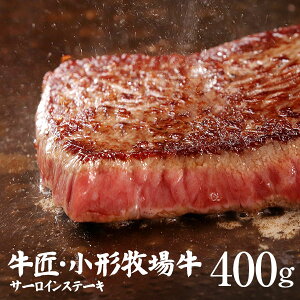 `qꋍT[CXe[L 200g×2iv400gj ŕ֗ 