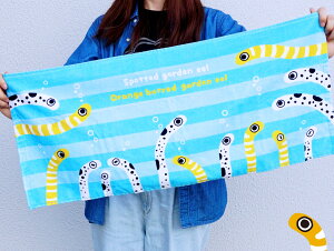 tFCX^I `AiS jVLAiS 킢 v`Mtg  GbNX ObY  C   ł AEghA X|[c v[ 