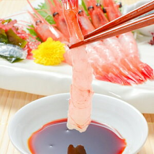 znے@YVRIÂ20IikނEtjI܂ ÃGr Y 