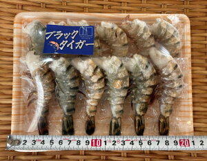 znے@ubN^CK[ 12I  Gr CV BT bt  